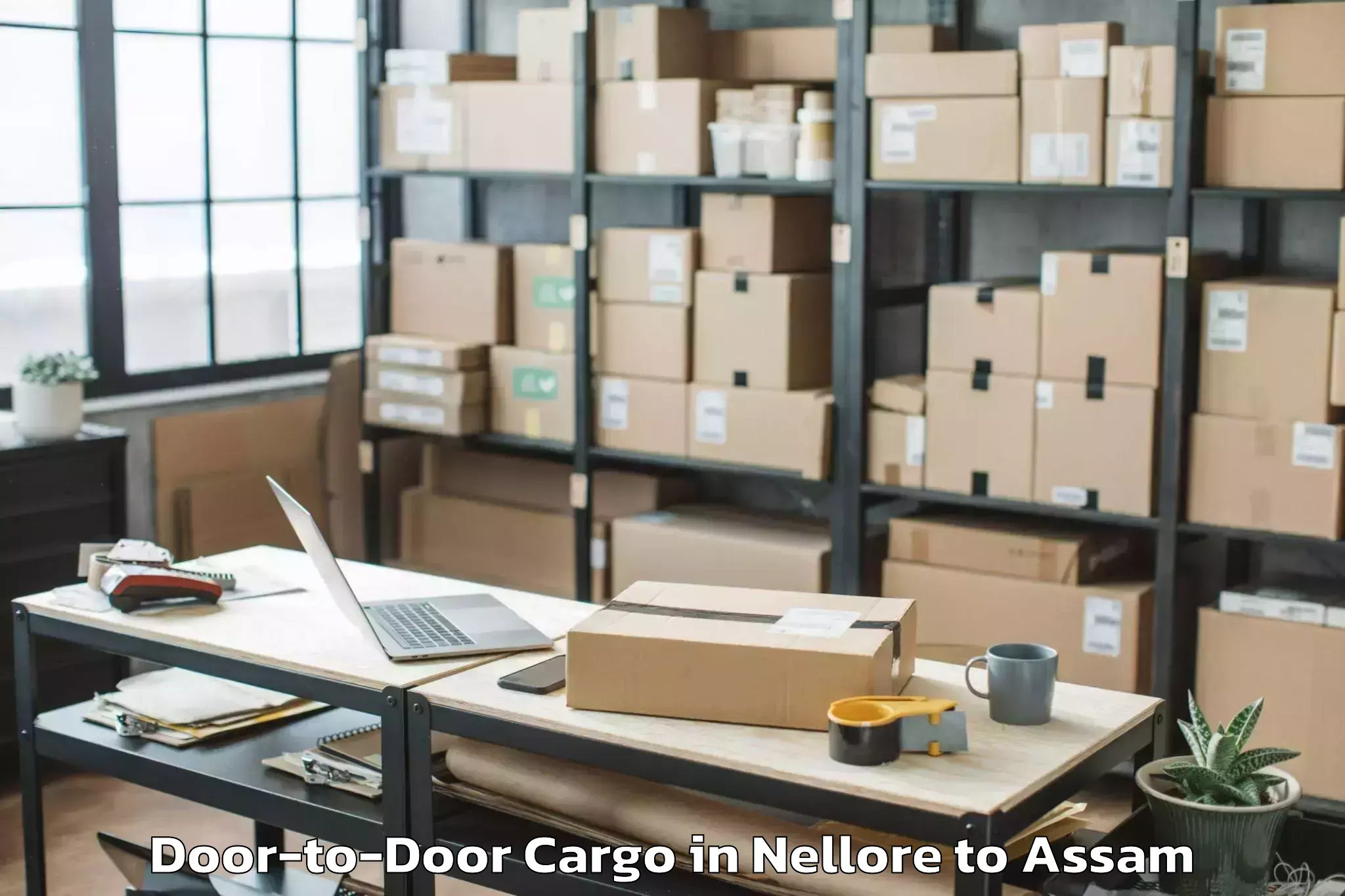 Book Nellore to Morigaon Door To Door Cargo Online